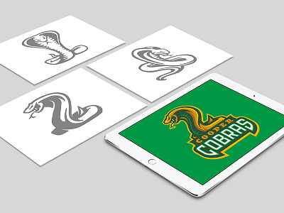 CCSD21 Project Intro cobras mascot process school sketch snake sports team