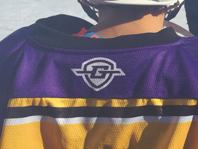 Goal Line Sportswear - Use bold brand branding hockey ice line logo shield snow sports