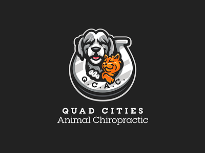 Quad Cities Animal Chiropractic animal animals cat chiropractic dog horse sheepdog shoe tabby