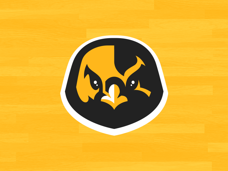 Falcon Basketball | Secondary Logos basketball branding brands club falcon falcons organization sports