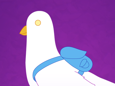 Pigeon Log-in Screen mobile purple