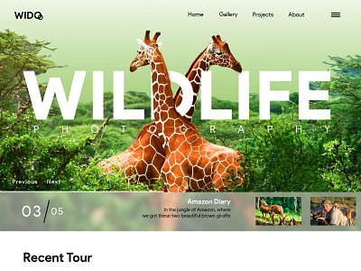 Wildlife Photography 1.0 | Photography | Wildlife | Cameras 3d amazon design forest giraffe photography techo aj wido wild wildlife wildlife art wildlife photography