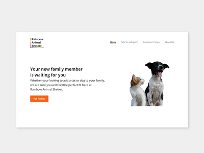 Rainbow Animal Shelter Landing Page