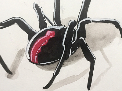 Spider animal illustration inktober insect original art spider spider. traditional art