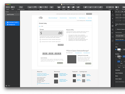 Donation Page mobile design sketch ui vector website wireframe