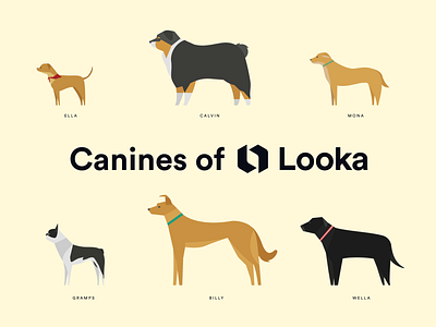 Canines of Looka canines caninesoflooka cute design dog dogs drawing fun illustration looka looka love lookadesign takeyourdogtoworkday vector