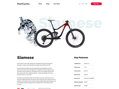 Pavlina Damianou Siamese Product page adobe xd ui webdesign