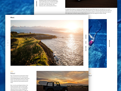 Maui. grid imagery layout maui photography web design website