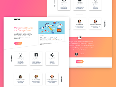 Carnage Landing Page brand cards gradient landing page ui website