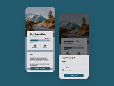 Crowdfunding Campaign 100 days of ui 100daysofui crowdfunding crowdfunding campaign daily ui daily ui challenge dailyui dailyuichallenge mobile app mobile ui travel ui design