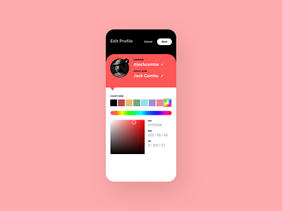 Profile Color Theme