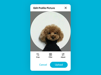 Upload Profile Picture 100 days of ui 100daysofui avatar daily ui daily ui challenge dailyui dailyuichallenge profile page ui design upload