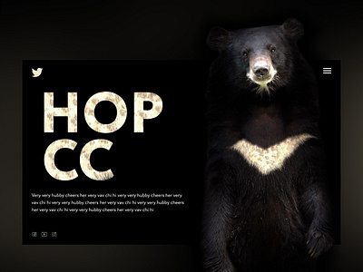 Hop cc mainpage web design webdesign website design