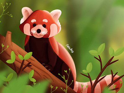 Red Panda Animal Illustration By Anwhy On Dribbble