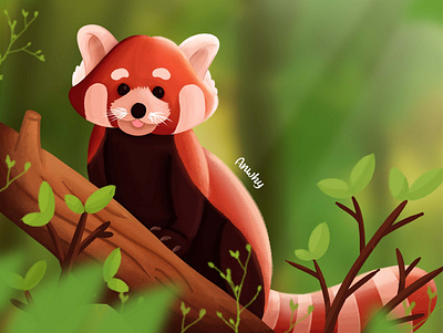 Red Panda-Animal Illustration animal illustration branding character design illustration illustrator logo redpanda vector