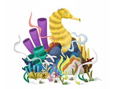 Sea Horse Illustration