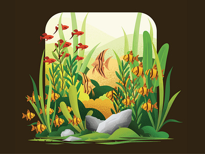 Aquascape Illustration By Anwhy On Dribbble