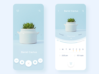 Plant APP app design icon mobile page ui ux