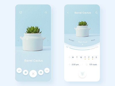 Plant APP