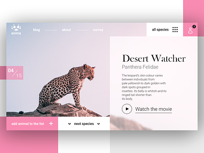 Anima Homepage animals design desktop flatdesign homepage leopard logo prototyping ui userinterface ux webdesign