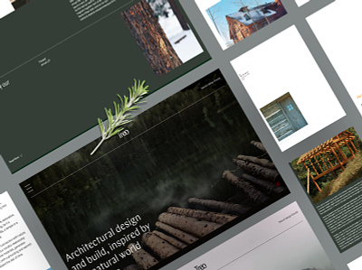 Architect Website branding design logo mobile website typography ux web web design website website designing