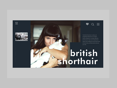 Homepage Shot of a cat lovers website cat design minimalistic ui user interface user interface design ux