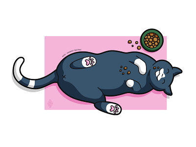 Fat cat illustration cat design fat illustration illustrator kitty vector