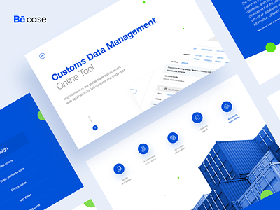 Customs Data Management - Behance case study
