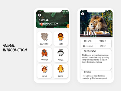 Animal Introduction App