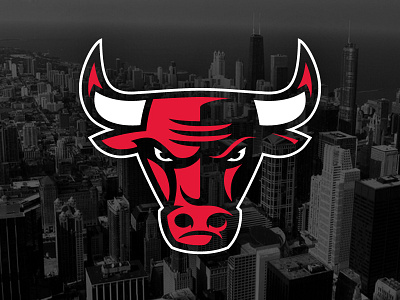 Chicago Bulls basketball bull bulls chicago horns identity logo mascot nba sports