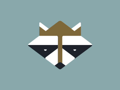 Raccoon icon illustration raccoon