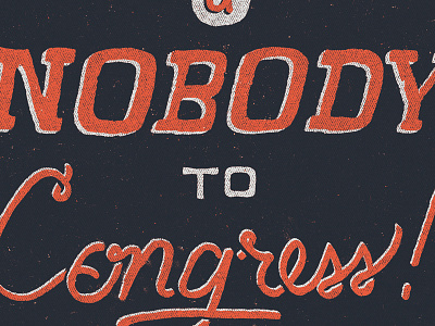 Congressional Campaign Poster 2 congress federal government hand illustration lettering type typography