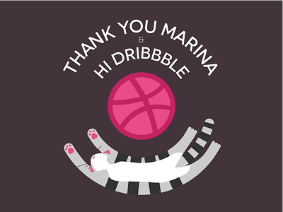 Hello Dribbble cat debut first welcome