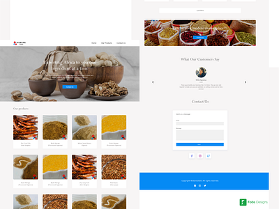 Mobane Foods design ecommerce food ingredients minimal store ui ux vector web design website design