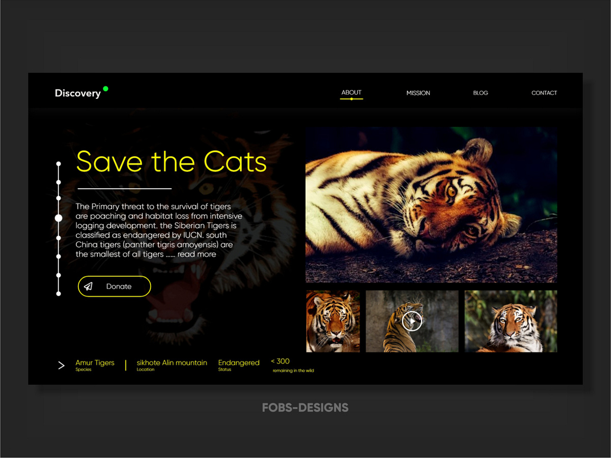 Browse thousands of Discovery UI images for design inspiration | Dribbble