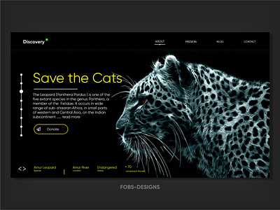 ui interface animation app app design cats illustrator landing page logo nature photography typography uiux web web application web apps web design website wildcats wildlife