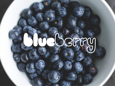 blueberry #1 berries blue blue and white blue logo blueberries blueberry bubbly concept fruit hues lettering art logo logotype