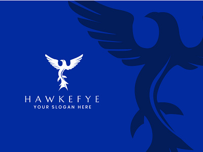 HAWKEFYE - Loo banner branding graphic design hawk hawk logo icon