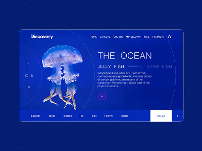 Discovery - The Ocean adobe xd adobexd banner design discovery channel minimal ocean ui ui ux uidesign uiux website