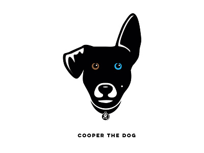 Cooper The Dog Rescue cooper the dog dog rescue dog skull