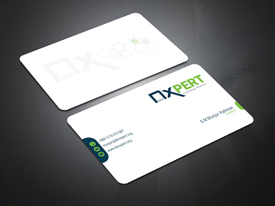 Business Card Design branding business card business card design graphic design illustrator vector