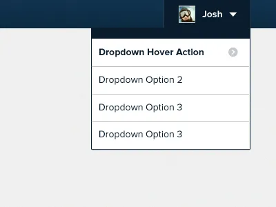 Dropin down low drop down dropdown nav profile