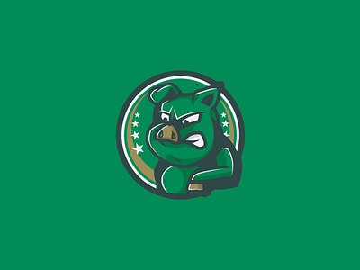 Palmeiras Soccer Team Mascot redesign