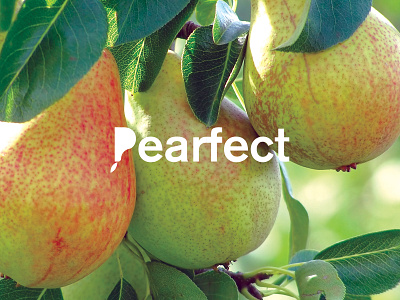 Pearfect fruit logo logotype minimal natural organic pear type typography word word play