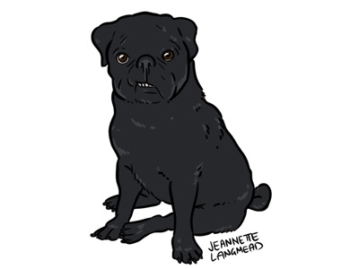 Black Pug dog drawing pug
