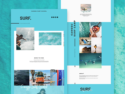 Surf School Landing Page Design