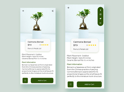 Buy Plant Online - Social Share 010 buy plant daily ui daily ui challenge dailyui dailyui010 dailyuichallenge plant plant app plant online share button social share social sharing socialmedia ui design uidesign uiux