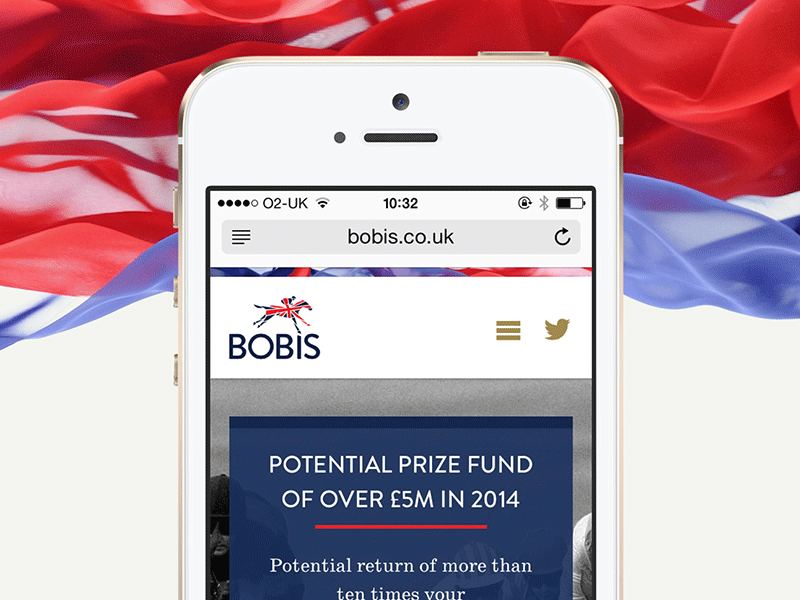 BOBIS branding print design web design