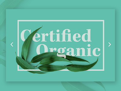 Organic Hero cosmetics header hero image minimal organic plants product design skin care slider typography ui web