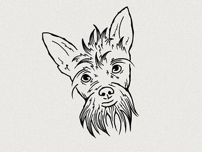 Sawyer Brown dog dog illustration drawing illustration illustration art ipadpro procreate puppy